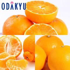 �݂��� �������� �ɂ��イ�܂� & �f�R�|���Ƃ��Ƃ� ��3kg �b7-12�����x�ł̂��͂�������E�����ւ͓͕s��(��)