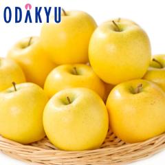 ��� �������� �X���Y �V�i�m�S�[���h 8�ʁ`9�� ��2.4kg �G �b7-12�����x�ł̂��͂�������E�����ւ͓͕s��(��)