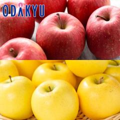 ��� �������� �X���Y �T���ӂ� & �V�i�m�S�[���h ��2.4kg �G �b7-12�����x�ł̂��͂�������E�����ւ͓͕s��(��)