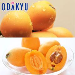 �r�� �������� ���������� ����т� & �Í��т� �H�ה�� �G ��0.5kg |4�����{�ȍ~�̂��͂�������E�����ւ͓͕s��(��)