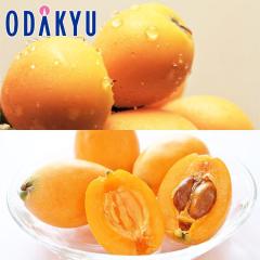 �r�� �������� ���������� �嗱�т�H�ה�� �[�B�т� & �Í��т� �G ��0.4kg |4�����{�ȍ~�̂��͂�������E�����ւ͓͕s��(��)