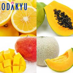 �������� �{�茧�Y �{��̏{���l�ߍ���� �����Ղ�{��t���[�c�M�t�g ��2kg |7-12�����x�ł̂��͂�������E�����ւ͓͕s��(��)