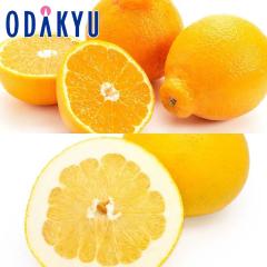 �������� �F�{���Y �u�₩�ȊÂ��̋l�ߍ��킹 �F�{�t���[�c�Z���N�V���� ��2kg |7-12�����x�ł̂��͂�������E�����ւ͓͕s��(��)