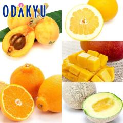 �������� �ґ�ȋ�B�̌b�� ��B�v���~�A���t���[�c�M�t�g ��3kg |7-12�����x�ł̂��͂�������E�����ւ͓͕s��(��)