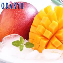 �}���S�[ �������� 4L�T�C�Y �{�茧�Y ���n�}���S�[ 2�ʃZ�b�g �G�ȏ� ��0.9kg |7-12�����x�ł̂��͂�������E�����ւ͓͕s��(��)