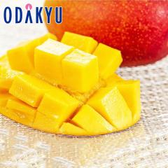 �}���S�[ �������� ���������� L�T�C�Y �{�茧�Y ���n�}���S�[ 2�ʃZ�b�g �G�ȏ� ��0.6kg |7-12�����x�ł̂��͂�������E�����ւ͓͕s