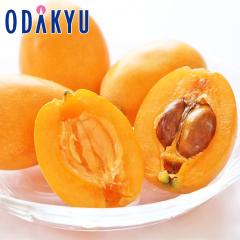 �r�� �������� 3L�T�C�Y�ȏ� ���茧�Y �Í��т� �嗱�т� �G ��0.9kg |4�����{�ȍ~�̂��͂�������E�����ւ͓͕s��(��)