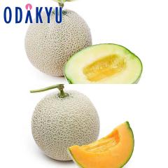 �������� ���������� �� & �ԓ� �������Z�b�g �G ��2kg |7-12�����x�ł̂��͂�������E�����ւ͓͕s��(��)