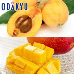 �������� �{�茧�Y ���n�}���S�[ & ����т� ��1.5kg |7-12�����x�ł̂��͂�������E�����ւ͓͕s��(��)