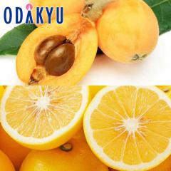 �r�� �������� ���������� �������T�C�Y ����т� & �{�茧�Y ������ �G ��1.2kg |7-12�����x�ł̂��͂�������E�����ւ͓͕s��(��)