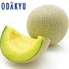 ������ �������� ���������� �F�{���Y �A���f�X������ 1�� ��1kg |7-12�����x�ł̂��͂�������E�����ւ͓͕s��(��)