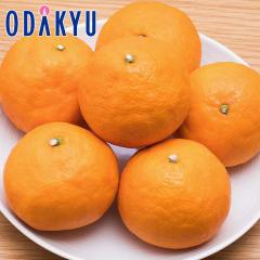 �~�J�� �������� �t�݂��� �J���}���_���� ��2.5kg �G |4�����{�ȍ~�̂��͂�������E�����ւ͓͕s��(��)