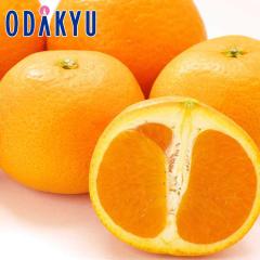 �~�J�� �������� ���V�[�Y�����܂��Ȃ��I�� �����I�����W ��2.5kg �G |7-12�����x�ł̂��͂�������E�����ւ͓͕s��(��)