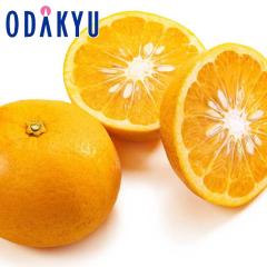 �~�J�� �������� �Z�� �g�É� �G�`�D 2L ��2.5kg |7-12�����x�ł̂��͂�������E�����ւ͓͕s��(��)