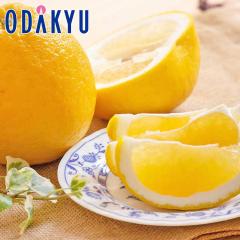 �~�J�� �������� �a���O���[�v�t���[�c �͓��ӊ� ��2.5kg |7-12�����x�ł̂��͂�������E�����ւ͓͕s��(��)