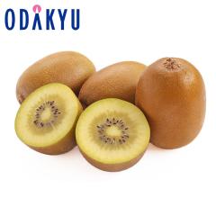 �L�E�C �������� ���������� �u�₩�ȊÂ݂ƔZ���ȉʏ` NZ�Y �T���S�[���h�L�E�C 12�� ��2kg |7-12�����x�ł̂��͂�������E�����ւ͓͕s