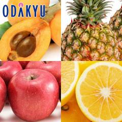 �r�� �p�C�� �������� �t�̌b�݂��ґ�� 4���̃t���[�c�Z�b�g ��2.2kg |7-12�����x�ł̂��͂�������E�����ւ͓͕s��(��)