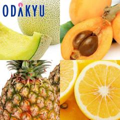 �r�� �p�C�� �������� �t�̉ʎ���H�ה�� ���������� 4���̃t���[�c�Z�b�g ��2.3kg |7-12�����x�ł̂��͂�������E�����ւ͓͕s��(��)