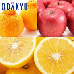 �~�J�� ��� �������� �u�₩�ȊÂ݂����I 4���̊��k�t���[�c�Z�b�g ��1.5kg |7-12�����x�ł̂��͂�������E�����ւ͓͕s��(��)