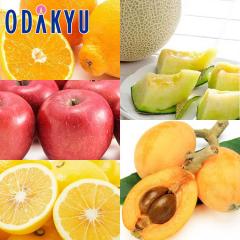 ������ �r�� �������� �t�̖��o�A���i�Z�b�g �����Ղ�4���̃t���[�c�Z�b�g ��2.5kg |7-12�����x�ł̂��͂�������E�����ւ͓͕s��(��)