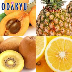 �r�� �p�C�� �������� �썑�t���[�c�Z�b�g ��3.7kg |4�����{�ȍ~�̂��͂�������E�����ւ͓͕s��(��)