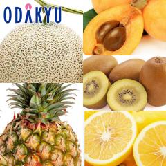 �r�� �p�C�� �������� ����������� 4���̃t���[�c�Z�b�gDX ��4.7kg |4�����{�ȍ~�̂��͂�������E�����ւ͓͕s��(��)