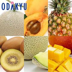 �������� �썑�t���[�c�Z�b�g�v���~�A�� ��4.9kg |4�����{�ȍ~�̂��͂�������E�����ւ͓͕s��(��)