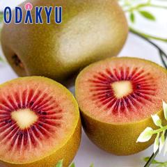 �������� ���������� �j���[�W�[�����h�Y ���r�[���b�h�L�E�C 1kg |7-12�����x�ł̂��͂�������E�����ւ͓͕s��(��)