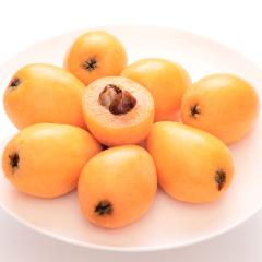 �r�� �������� ��t���Y �[�B�т� L�`2L�T�C�Y ��0.8kg |7-12�����x�ł̂��͂�������E�����ւ͓͕s��(��)