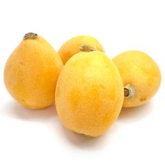 �r�� �������� ���茧�Y ����т� L�T�C�Y ��0.4kg |7-12�����x�ł̂��͂�������E�����ւ͓͕s��(��)