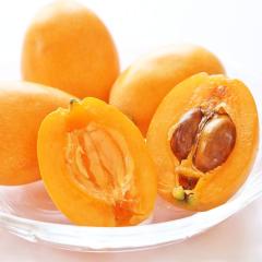 �r�� �������� ���茧�Y �Í� 3L�`4L�T�C�Y ��1kg |7-12�����x�ł̂��͂�������E�����ւ͓͕s��(��)