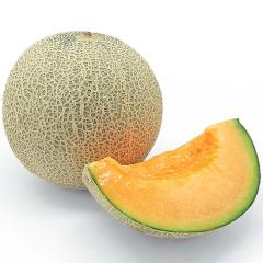 ������ ��������  ���x16�x�ȏ� �N�C���V�[������ 3L  ��1kg |5�����{�ȍ~�̂��͂�������E�����ւ͓͕s��(��)