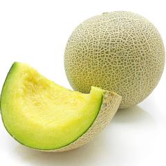 ������ ��������  ���x16�x�ȏ� �A���f�X������ 3L  ��1.2kg |5�����{�ȍ~�̂��͂�������E�����ւ͓͕s��(��)