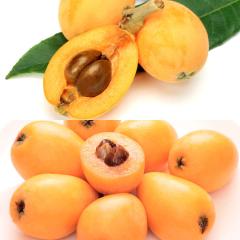 �r�� ��������  ���2�i��! ���Ă̑��蕨 ���� �~ �[�B�т� �G ��0.4kg |7-12�����x�ł̂��͂�������E�����ւ͓͕s��(��)