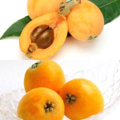�r�� ��������  ����؂₮����т�2��Z�b�g ����т�ƊÍ��т� �G ��0.4kg |7-12�����x�ł̂��͂�������E�����ւ͓͕s��(��)