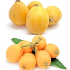 �r�� ��������  �H�ה�� �Ȃ���� �~ ����т� �H���̌n��  �G ��0.4kg |5�����{�ȍ~�̂��͂�������E�����ւ͓͕s��(��)