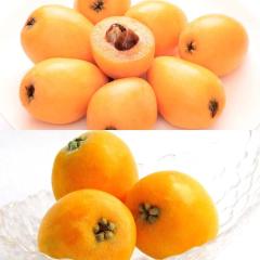 �r�� ��������  �����߂ɂ�������������! �����т�Ό� �[�B�ƊÍ� �G ��0.4kg |7-12�����x�ł̂��͂�������E�����ւ͓͕s��(��)