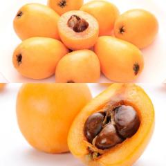 �r�� ��������  �嗱�n2�i�� �[�B�т� & �Ȃ����т�  �G ��0.4kg |5�����{�ȍ~�̂��͂�������E�����ւ͓͕s��(��)