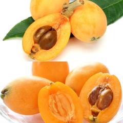 �r�� ��������  �H�ה�� ����т� & ����т�  �G ��0.4kg |5�����{�ȍ~�̂��͂�������E�����ւ͓͕s��(��)