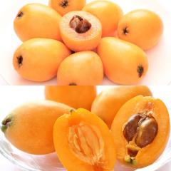 �r�� ��������  �嗱�n2�i�� �[�B�т� & ����т�  �G ��0.4kg |5�����{�ȍ~�̂��͂�������E�����ւ͓͕s��(��)