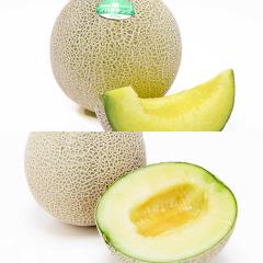 ������ ��������  �H�ה�� �C�o���L���O & �A�[���X������ �G ��1.8kg |7-12�����x�ł̂��͂�������E�����ւ͓͕s��(��)