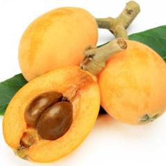 �r�� ��������  ���������� ���ʌ��� ����т� 4�p�b�N�Z�b�g ��0.9kg |7-12�����x�ł̂��͂�������E�����ւ͓͕s��(��)