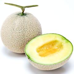 ������ ��������  ���������� ����50�Z�b�g �`���̕��i �A�[���X������ 2�� �G�`�D ��1.8kg |7-12�����x�ł̂��͂�������E�����ւ͓͕s