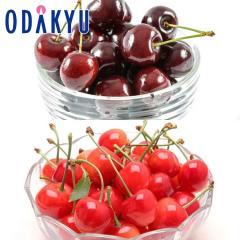 �������� �������� �`�F���[�n�[���j�[�`�A�����J�� & ������ �b7-12�����x�ł̂��͂�������E�����ւ͓͕s��(��)