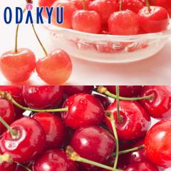 �������� �������� ������ & �g�G�� �b6�����{�ȍ~�̂��͂�������E�����ւ͓͕s��(��)