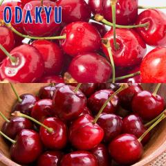 �������� �������� �g�G�� & �`�F���[ �b6�����{�ȍ~�̂��͂�������E�����ւ͓͕s��(��)