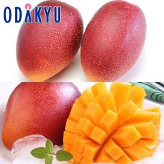 �������� ���z�̃^�}�S���� �{��}���S�[ �H�ה�׃Z�b�g �b7-12�����x�ł̂��͂�������E�����ւ͓͕s��(��)