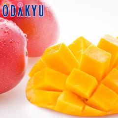 �������� �{�� & �F�{ ���n�}���S�[ �H�ה�׃Z�b�g �b7-12�����x�ł̂��͂�������E�����ւ͓͕s��(��)