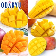 �������� ���z�̃^�}�S���� �}���S�[ �H�ה�׃Z�b�g �b7-12�����x�ł̂��͂�������E�����ւ͓͕s��(��)