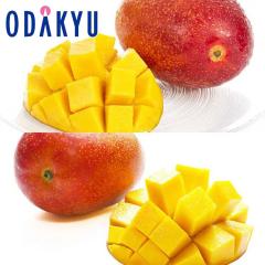 �������� �썑�t���[�c �{�� & ��p�}���S�[ �H�ה�׃Z�b�g �b7-12�����x�ł̂��͂�������E�����ւ͓͕s��(��)